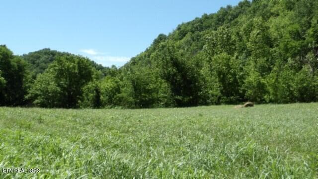 100_0075 - 5155 Brimstone Creek Rd, Moss, TN 38575, Moss