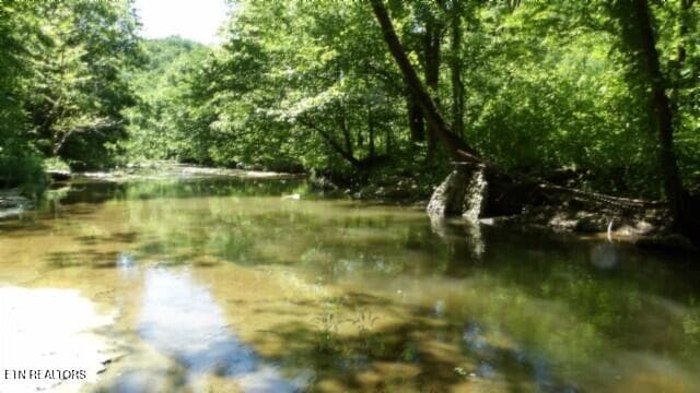 100_0104 - 5155 Brimstone Creek Rd, Moss, TN 38575, Moss