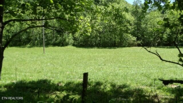 100_0106 - 5155 Brimstone Creek Rd, Moss, TN 38575, Moss