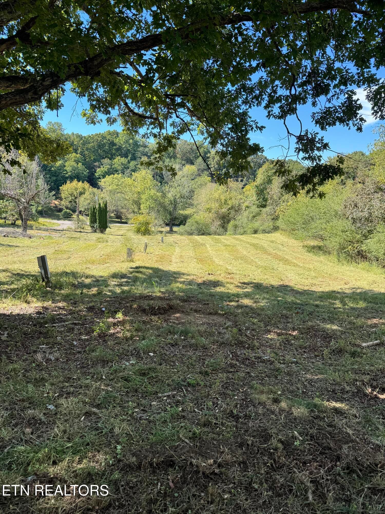 214 Cates Rd - Auction - 214 Cates Rd, Rockwood, TN 37854, Rockwood