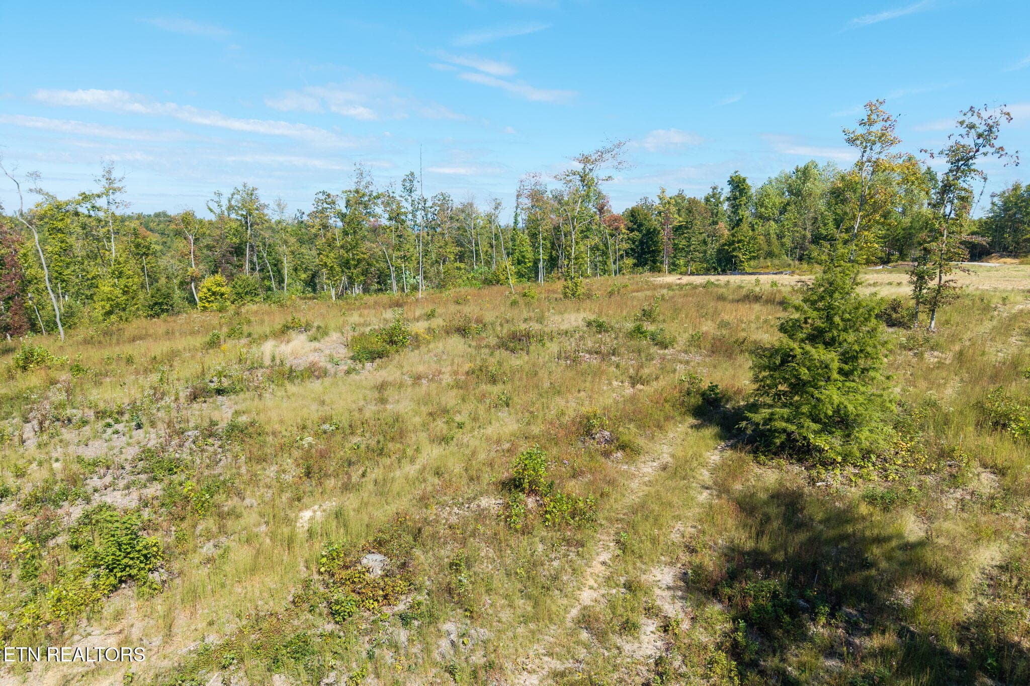 7-web-or-mls-Flat Rock Rd_8 - Flat Rock Rd, Jamestown, TN 38556, Jamestown