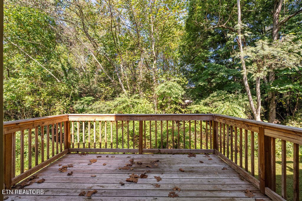 DSC07225 - 8709 Mowbray Way, Knoxville, TN 37923, Knoxville