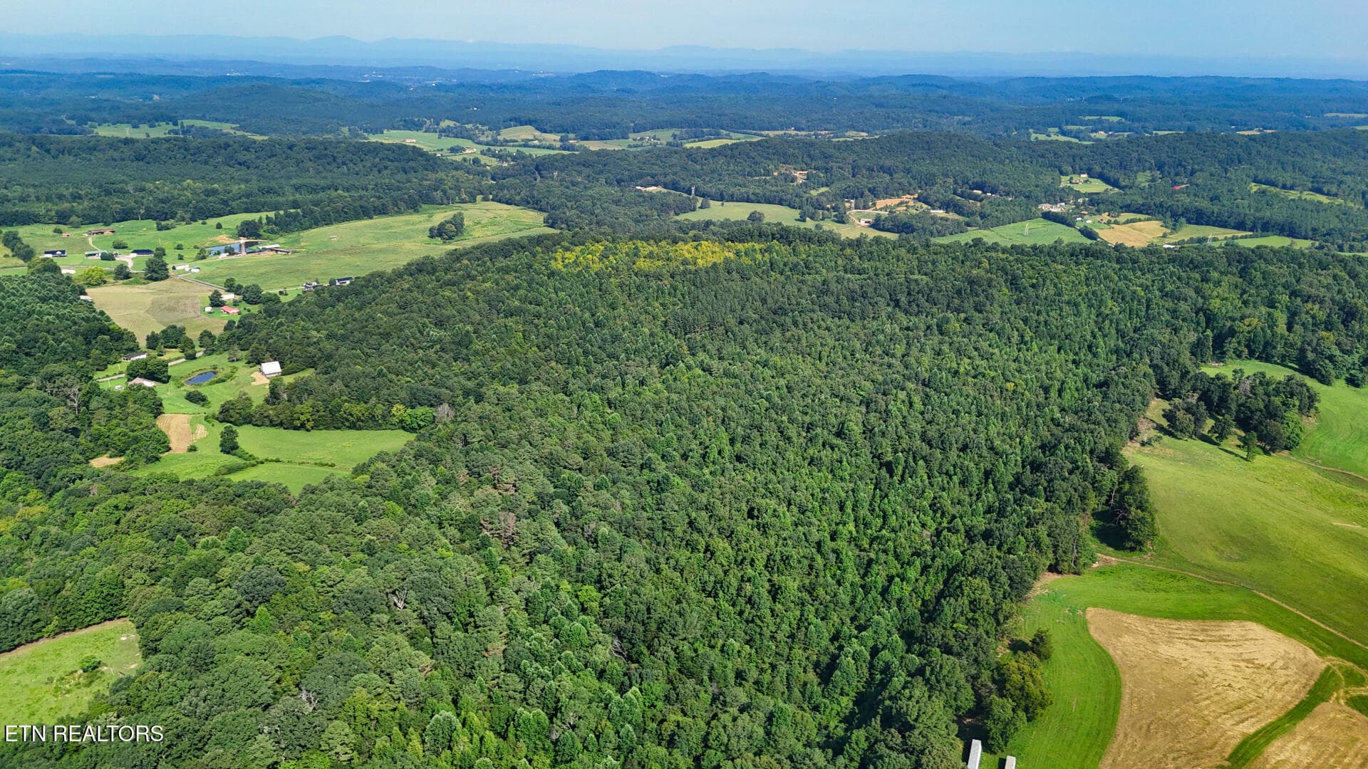 DJI_20260814103514_0330_D - Moss Rd, Philadelphia, TN 37846, Philadelphia