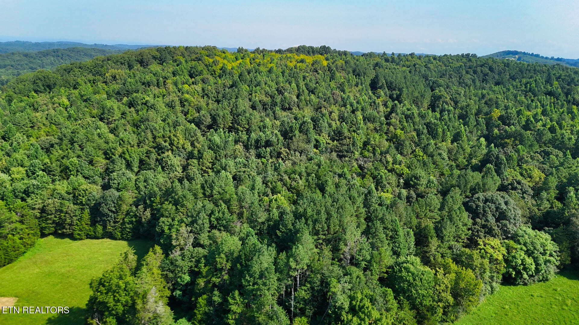 DJI_20260814103935_0367_D - Moss Rd, Philadelphia, TN 37846, Philadelphia
