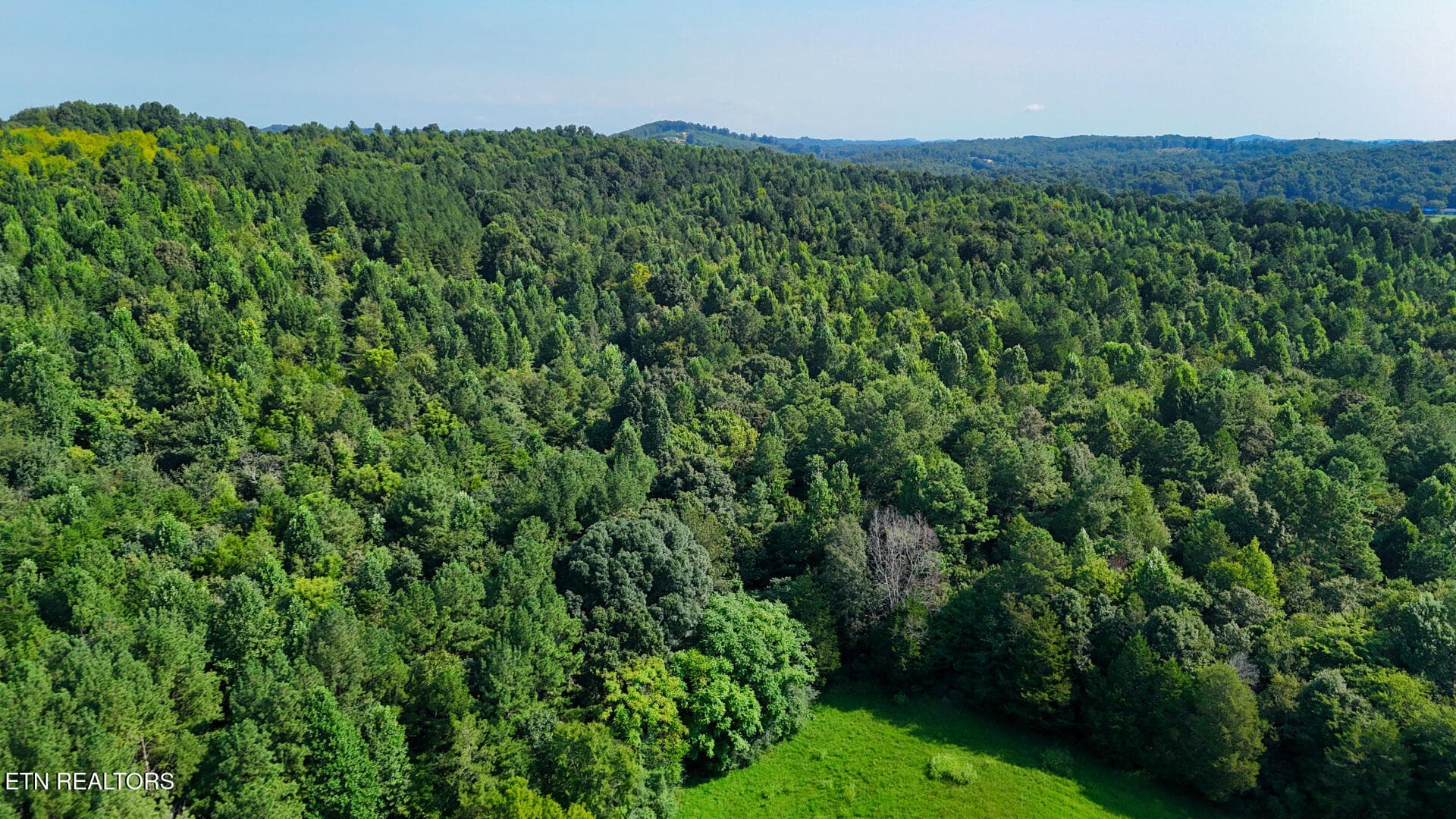 DJI_20260814103937_0368_D - Moss Rd, Philadelphia, TN 37846, Philadelphia