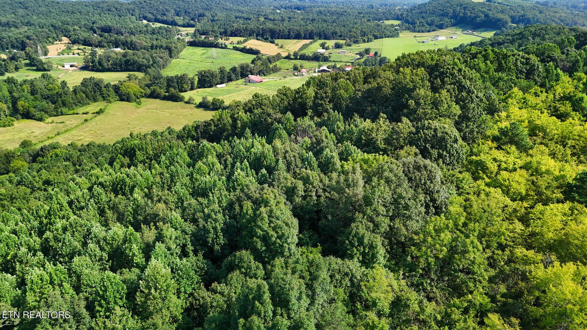 DJI_20260814104010_0376_D - Moss Rd, Philadelphia, TN 37846, Philadelphia