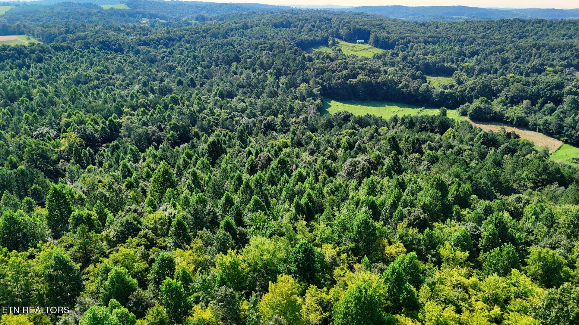 DJI_20260814104016_0379_D - Moss Rd, Philadelphia, TN 37846, Philadelphia