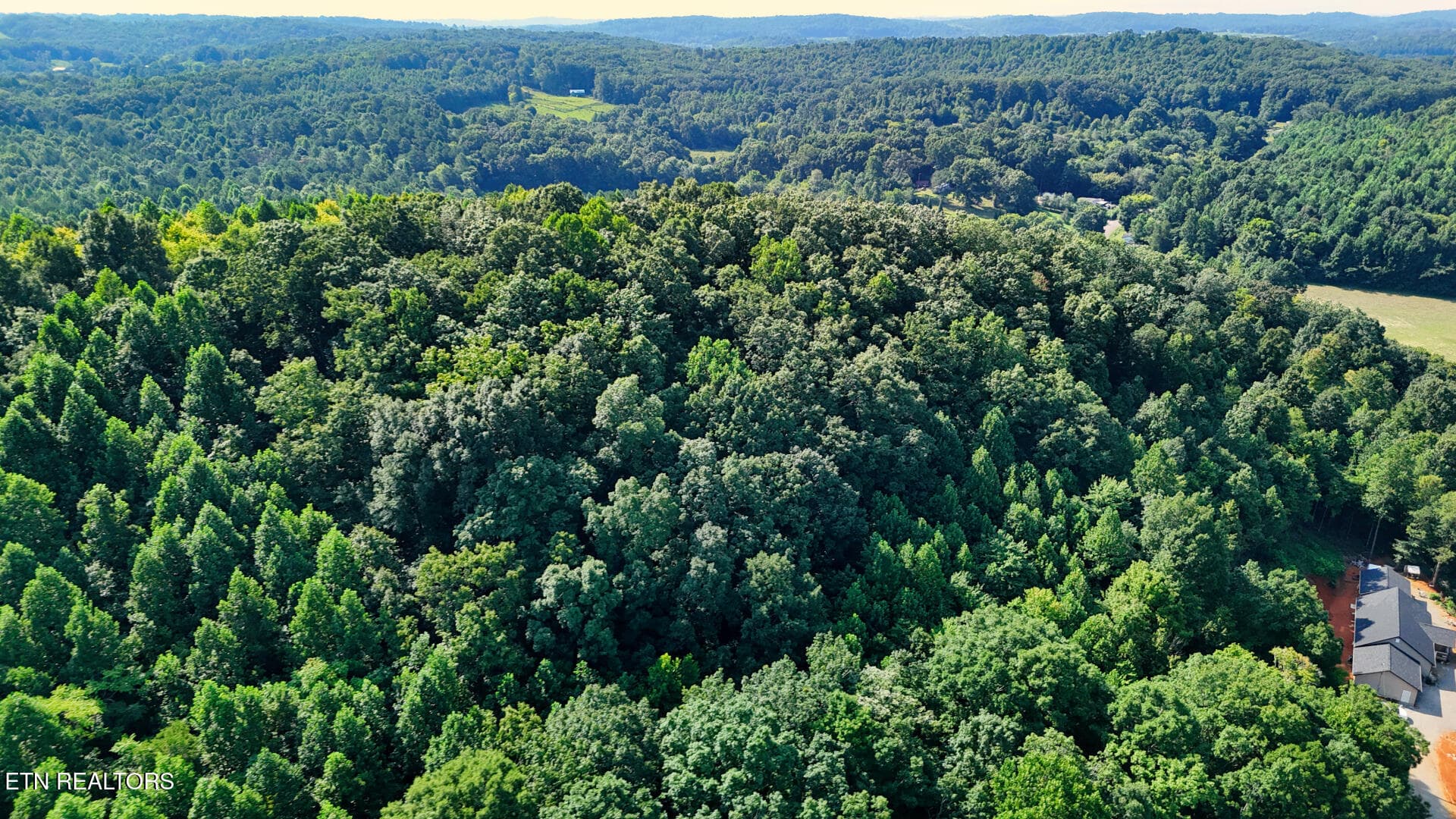DJI_20260814104046_0383_D - Moss Rd, Philadelphia, TN 37846, Philadelphia