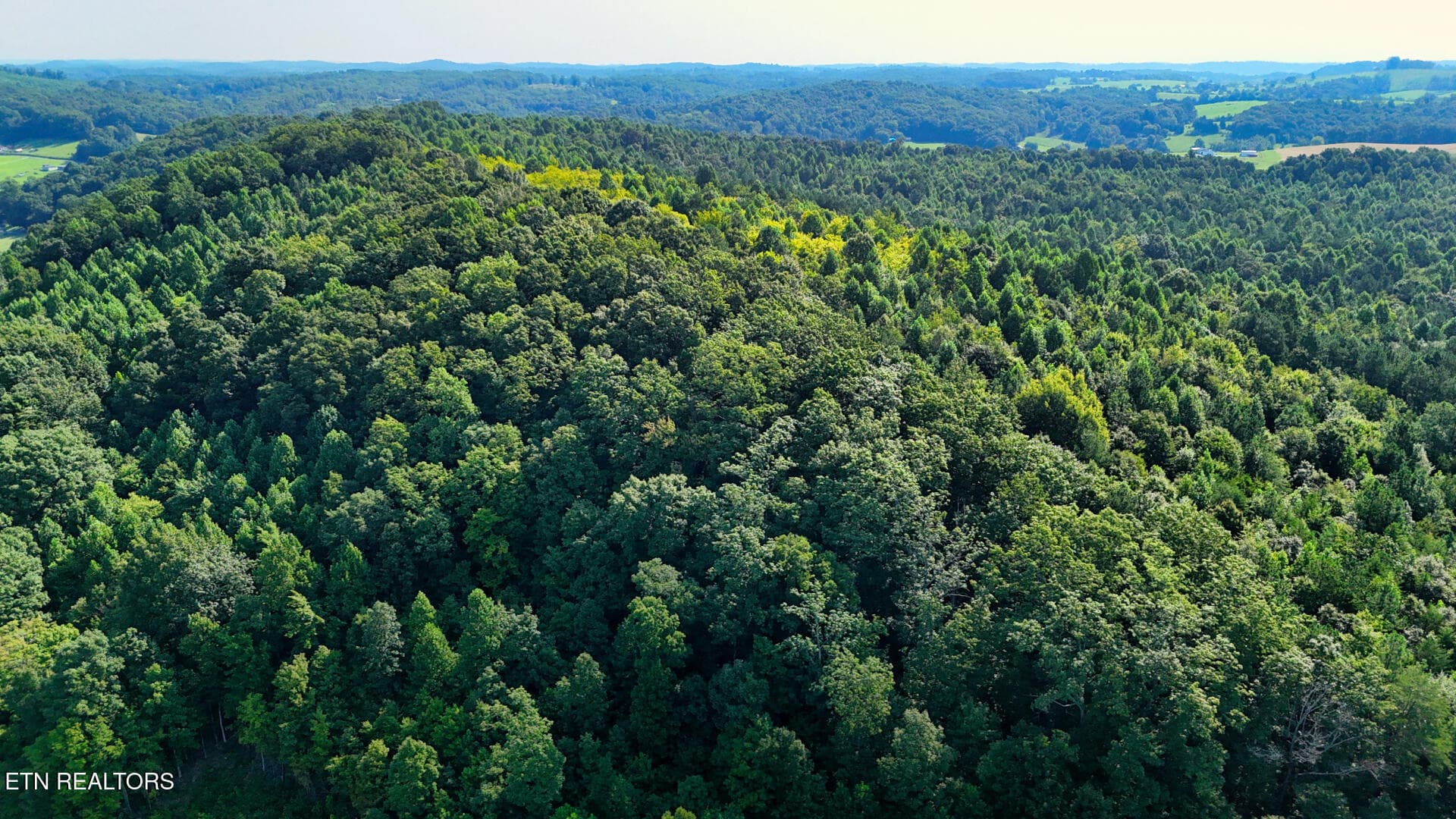 DJI_20260814104128_0389_D - Moss Rd, Philadelphia, TN 37846, Philadelphia