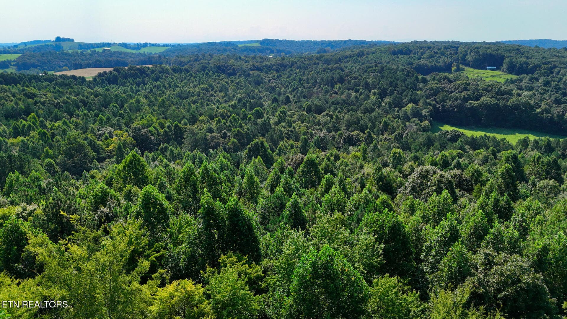 DJI_20260814104225_0401_D - Moss Rd, Philadelphia, TN 37846, Philadelphia