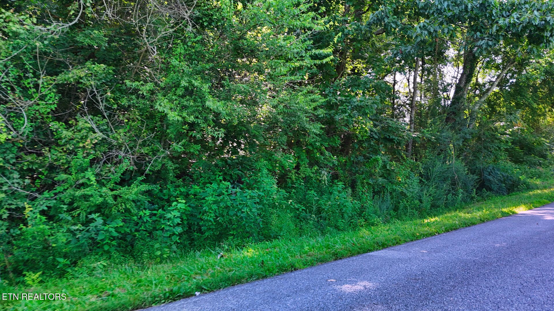 DJI_20260814104825_0430_D - Moss Rd, Philadelphia, TN 37846, Philadelphia