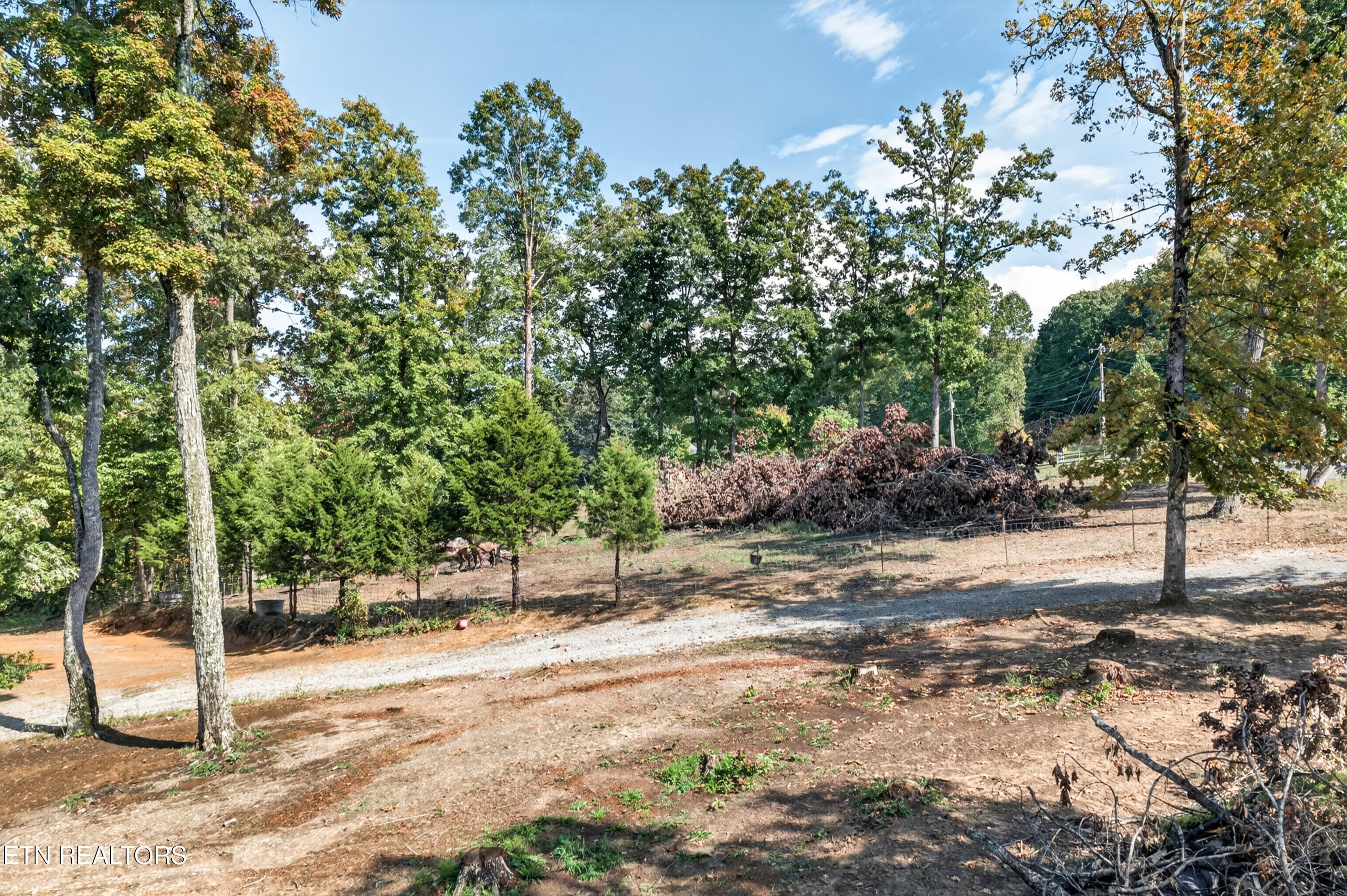 9-print-2882 Brewer Rd_037_TNPC - 2882 Brewer Rd, Crossville, TN 38572, Crossville