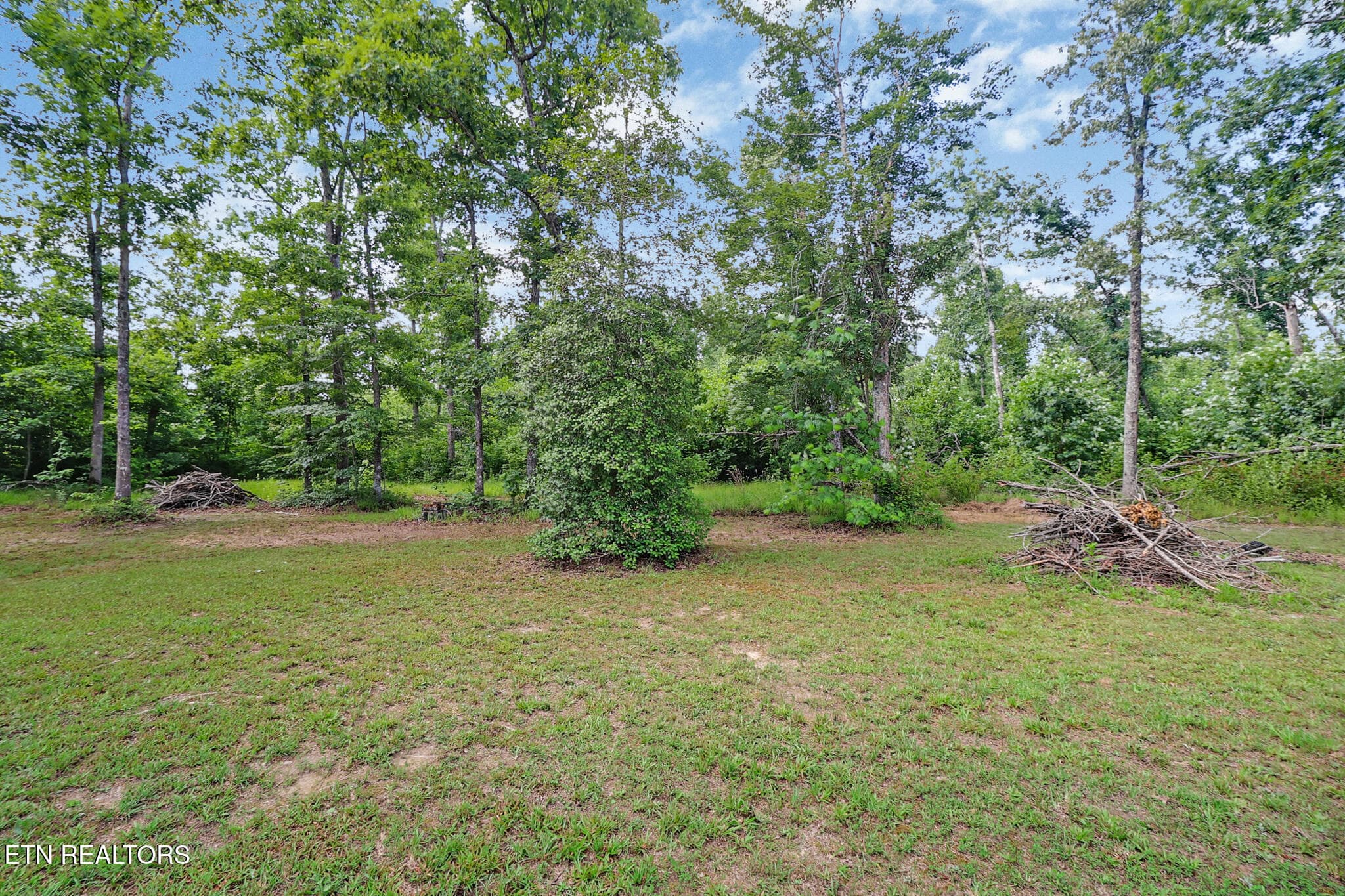 back yard - 3426 Rugby pike Pike, Jamestown, TN 38556, Jamestown