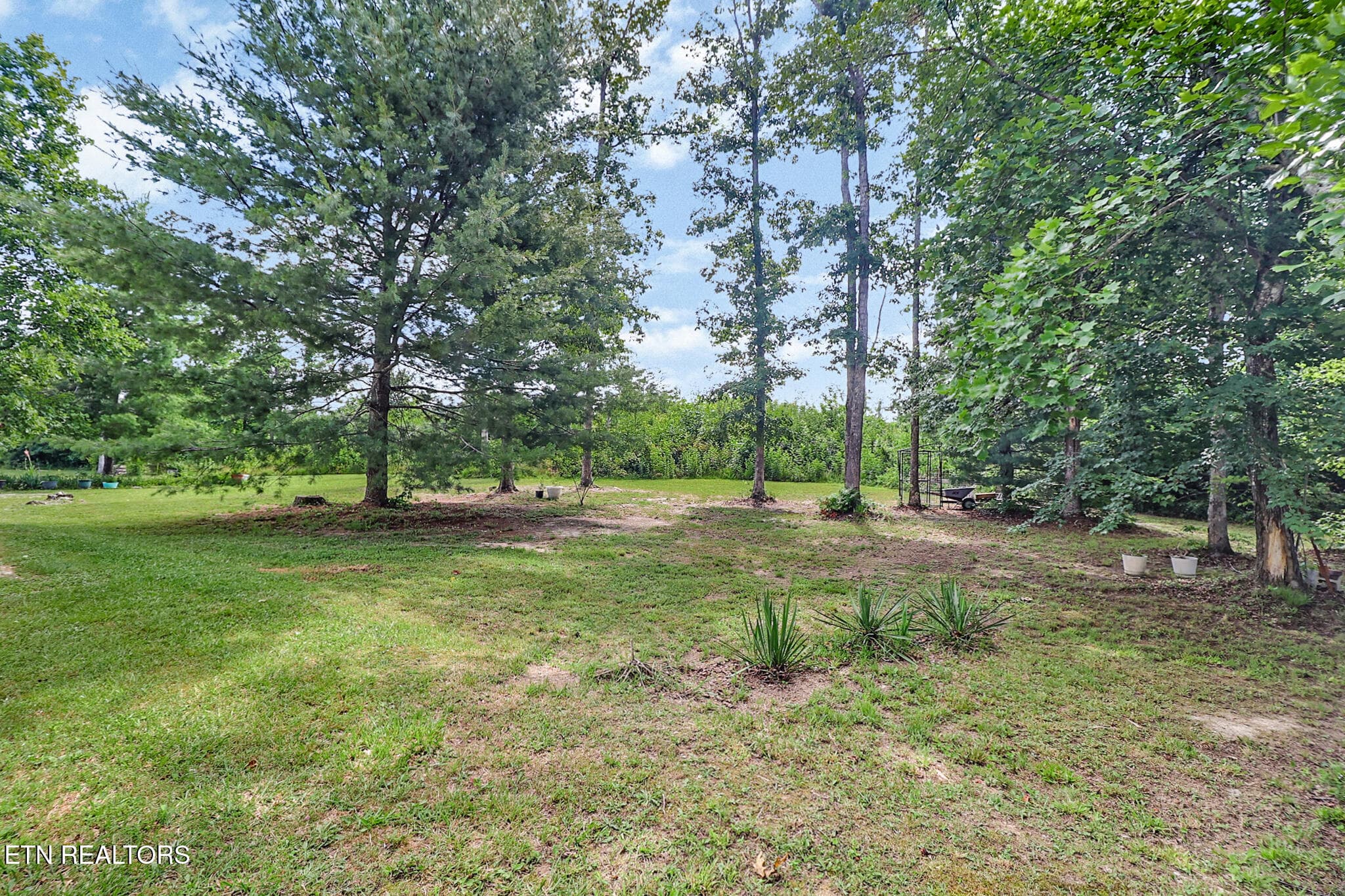 sade/back yard - 3426 Rugby pike Pike, Jamestown, TN 38556, Jamestown