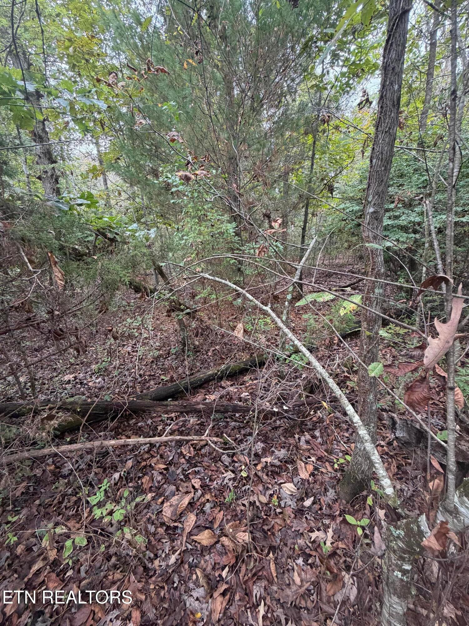 IMG_5346 - 5029 Pawnee Rd, Crossville, TN 38572