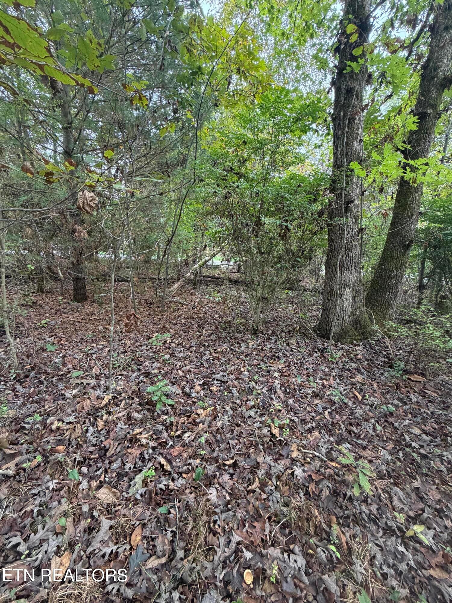 IMG_5349 - 5029 Pawnee Rd, Crossville, TN 38572