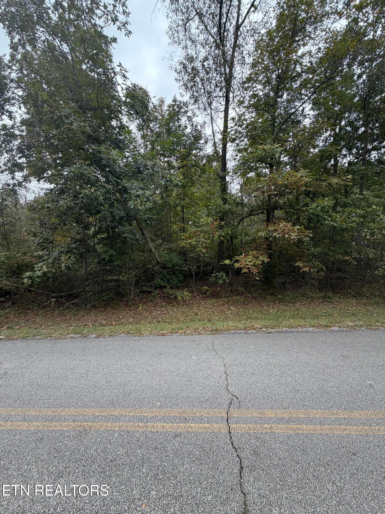 IMG_5345 - 5029 Pawnee Rd, Crossville, TN 38572