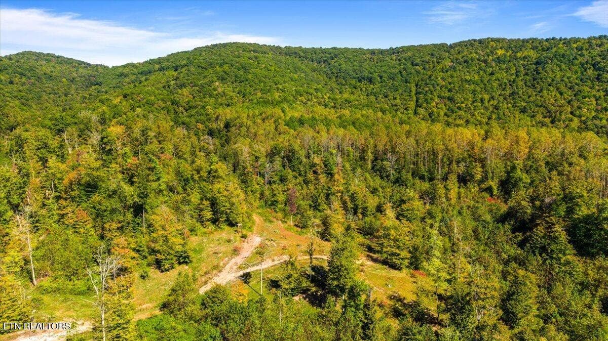 11-5106 Buffalo Rd - 5601 Buffalo Rd, Oneida, TN 37841, Oneida