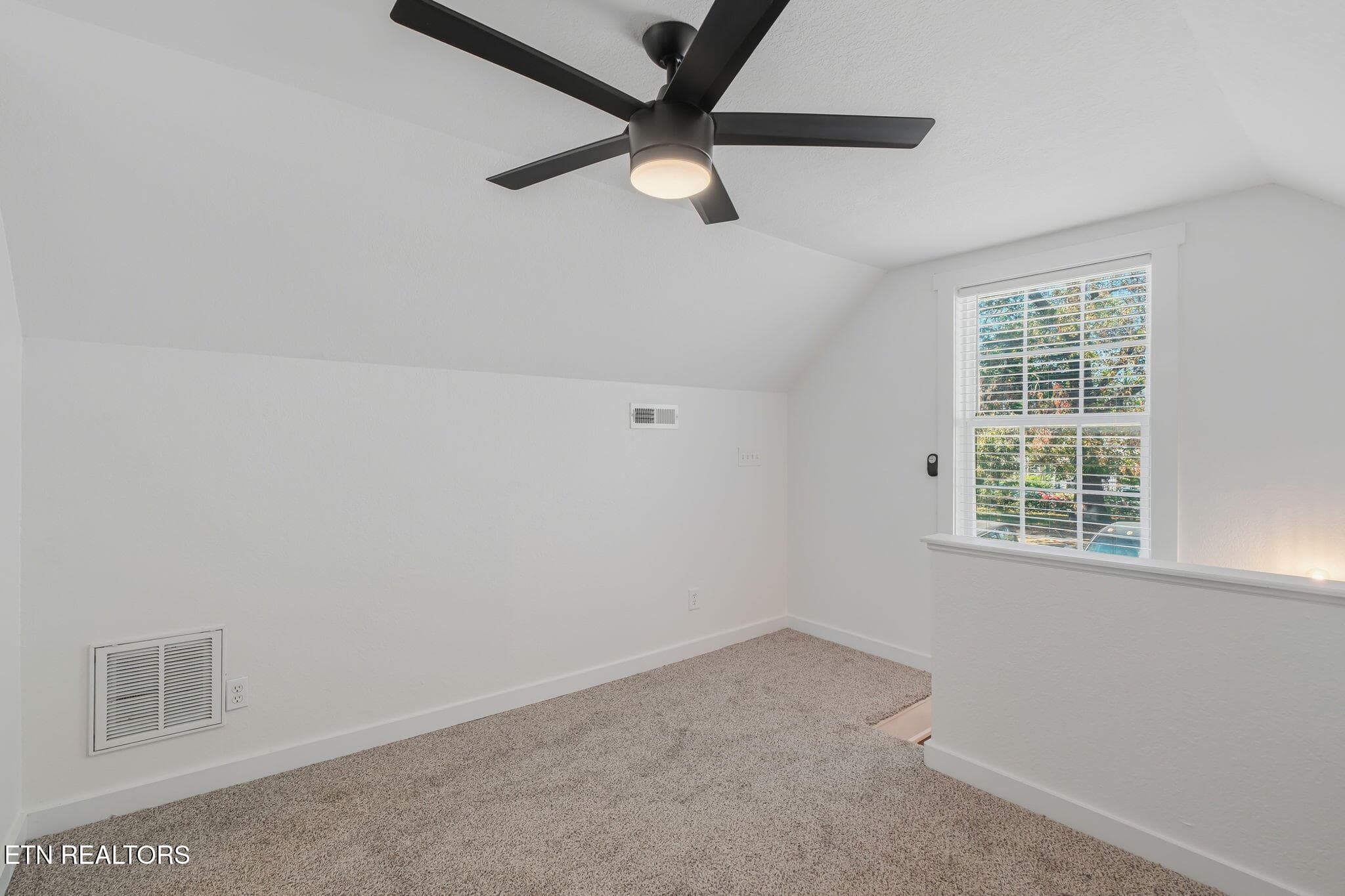 20-web-or-mls-224 E Burwell Ave-21 - 224 E Burwell Ave, Knoxville, TN 37917, Knoxville