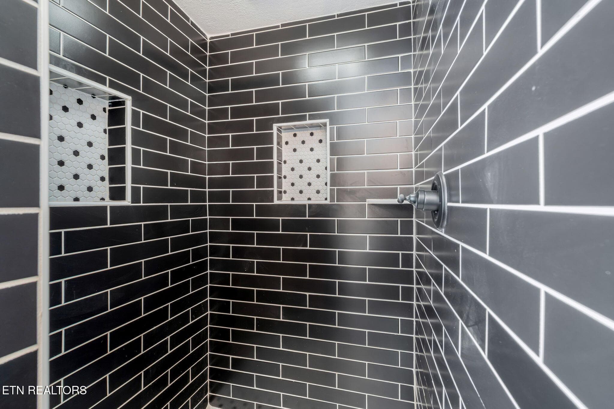15-web-or-mls-224 E Burwell Ave-16 - 224 E Burwell Ave, Knoxville, TN 37917, Knoxville