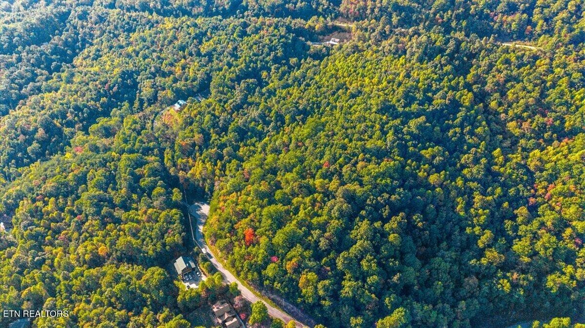 09-Hidden Springs Rd - Lot 508 Hidden Springs Rd, New Tazewell, TN 37825, New Tazewell