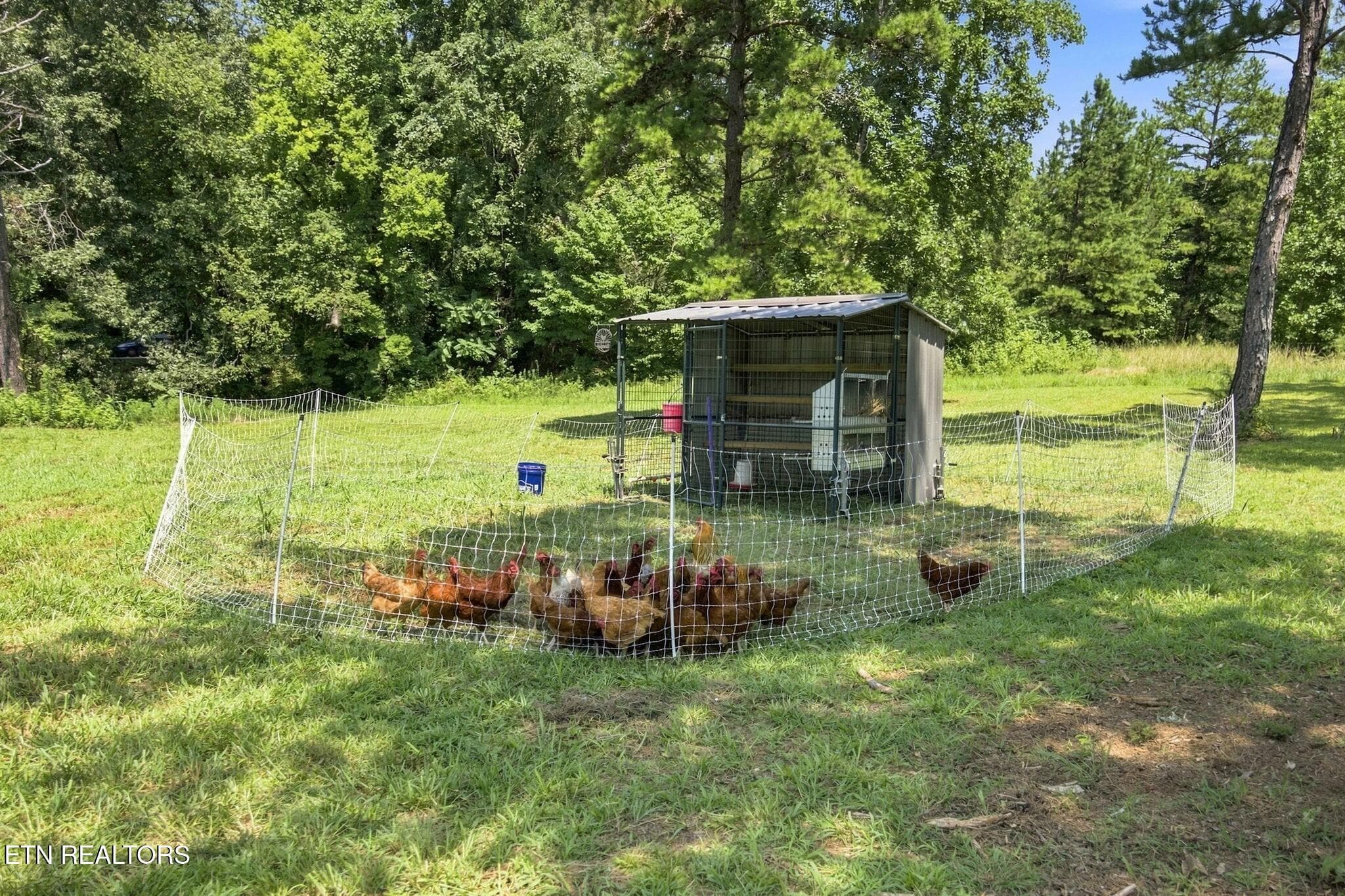 3511088-39 - 2362 Euchee Rd, Ten Mile, TN 37880, Ten Mile