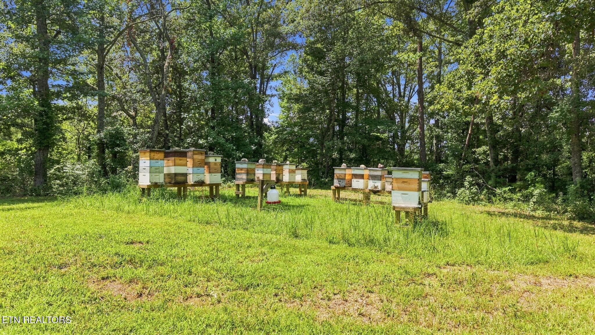 3511088-40 - 2362 Euchee Rd, Ten Mile, TN 37880, Ten Mile