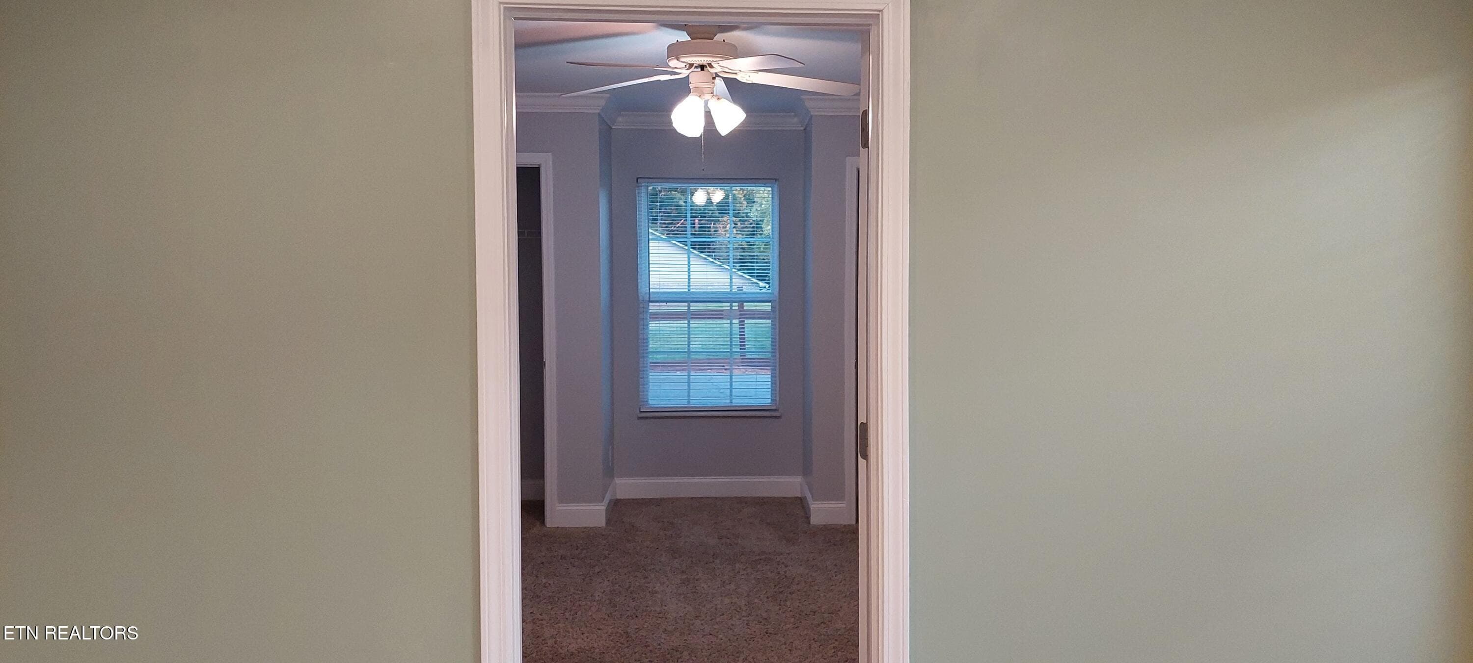 bed 4 b - 931 Mercer Drive, Maryville, TN 37801, Maryville
