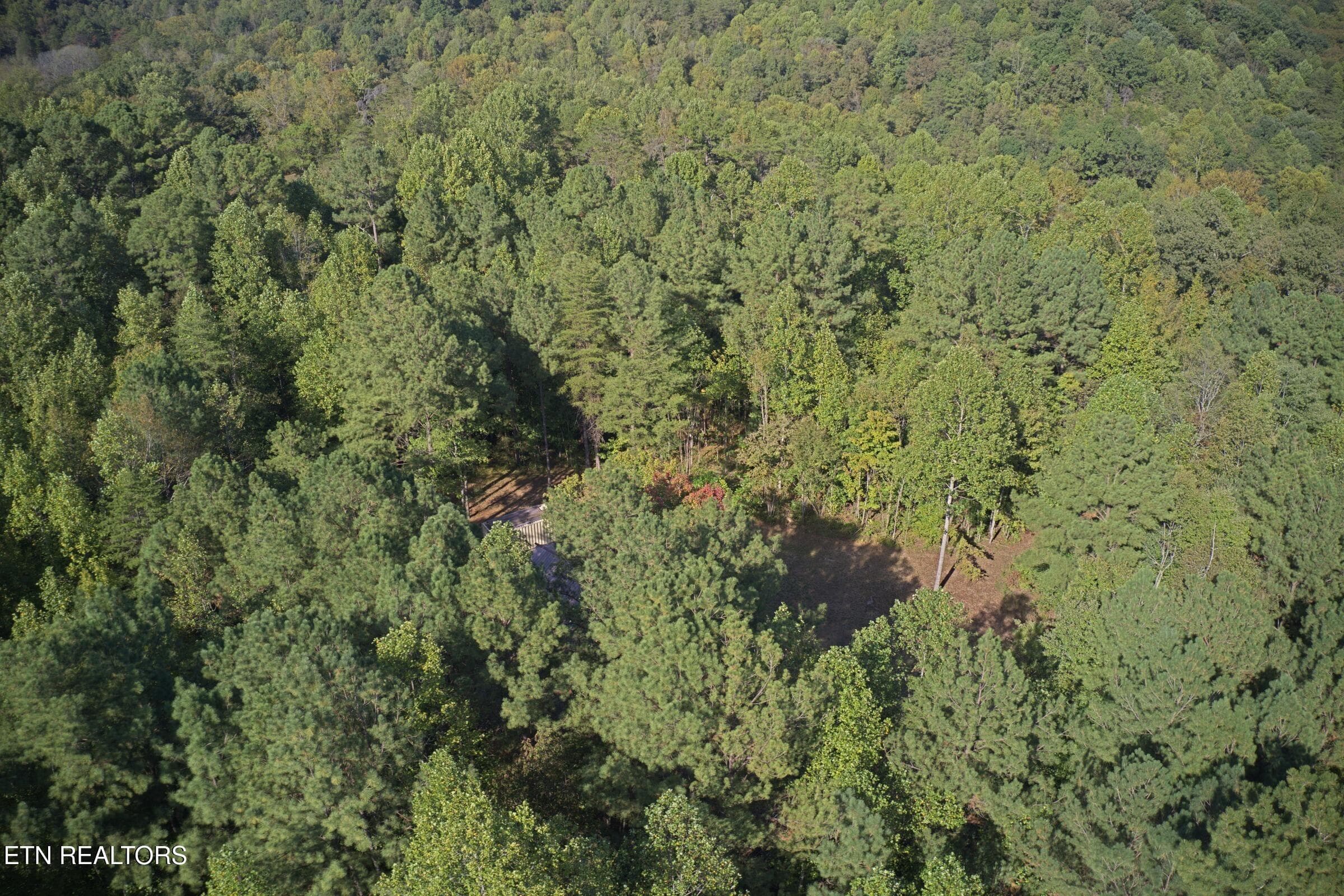 1192_shellotte_12 - 1192 Shellotte Loop Rd, Pall Mall, TN 38577, Pall Mall