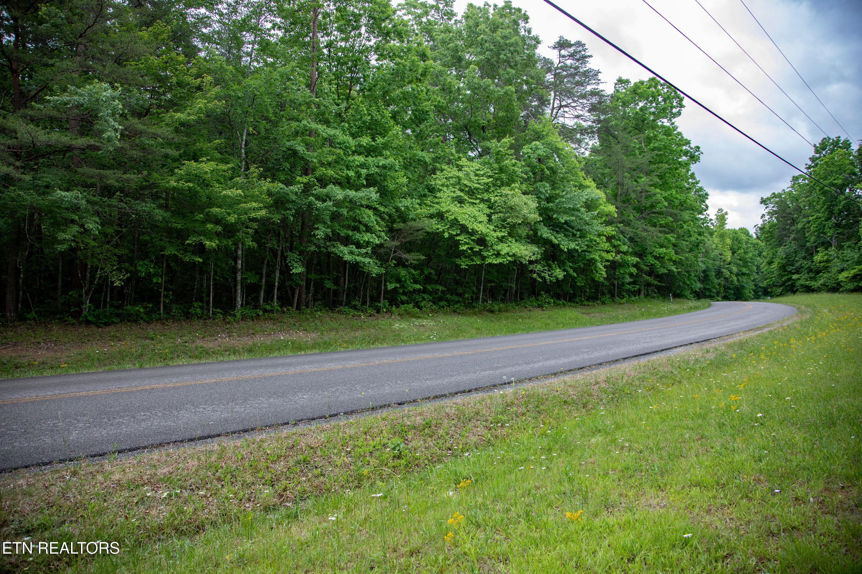 13) 72791-6a29d978a81ac - 0 Lot 6 Cumberland Lakes Drive, Monterey, TN 38574, Monterey