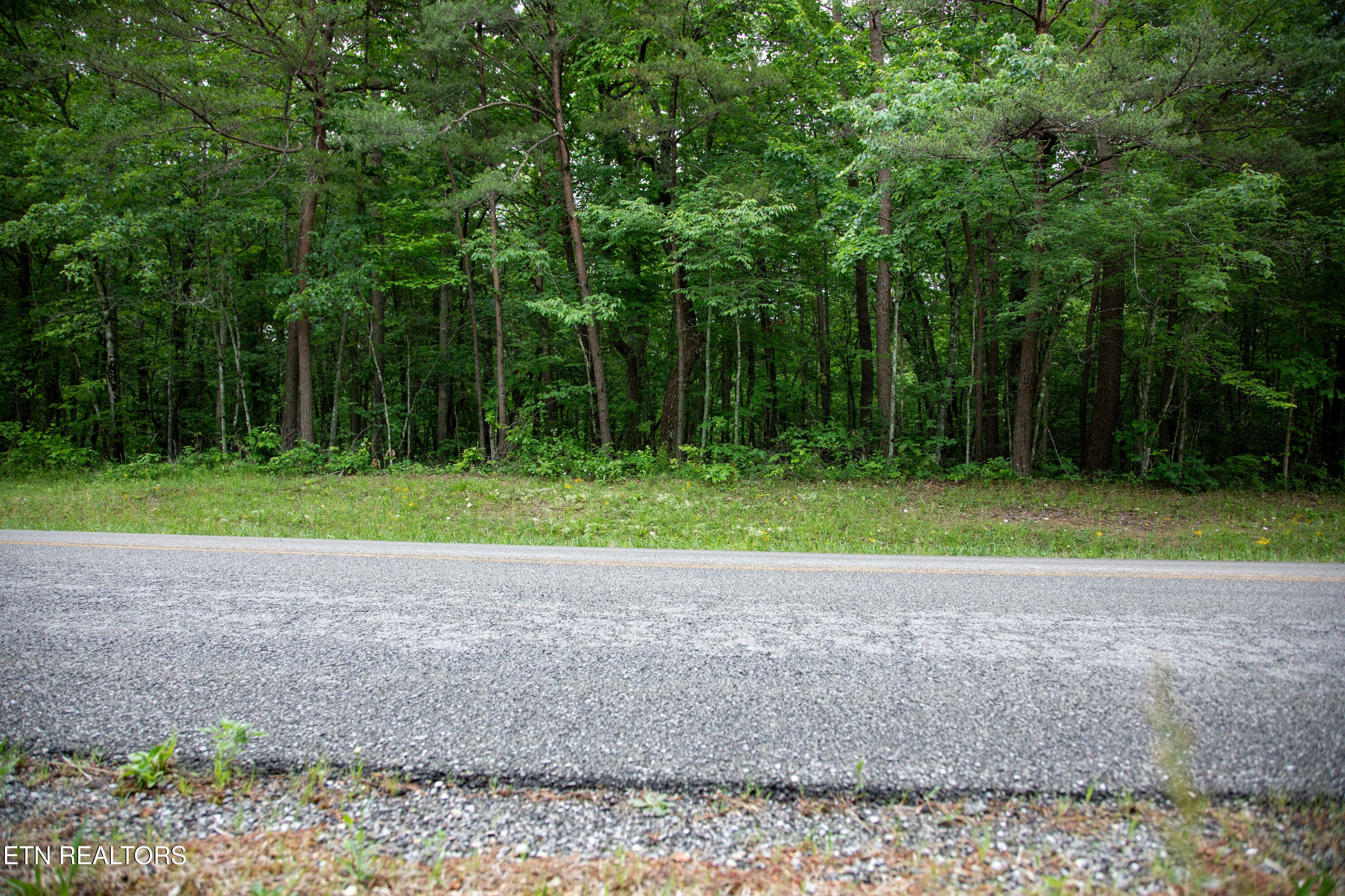 14) 72791-6a29d9775713d - 0 Lot 6 Cumberland Lakes Drive, Monterey, TN 38574, Monterey