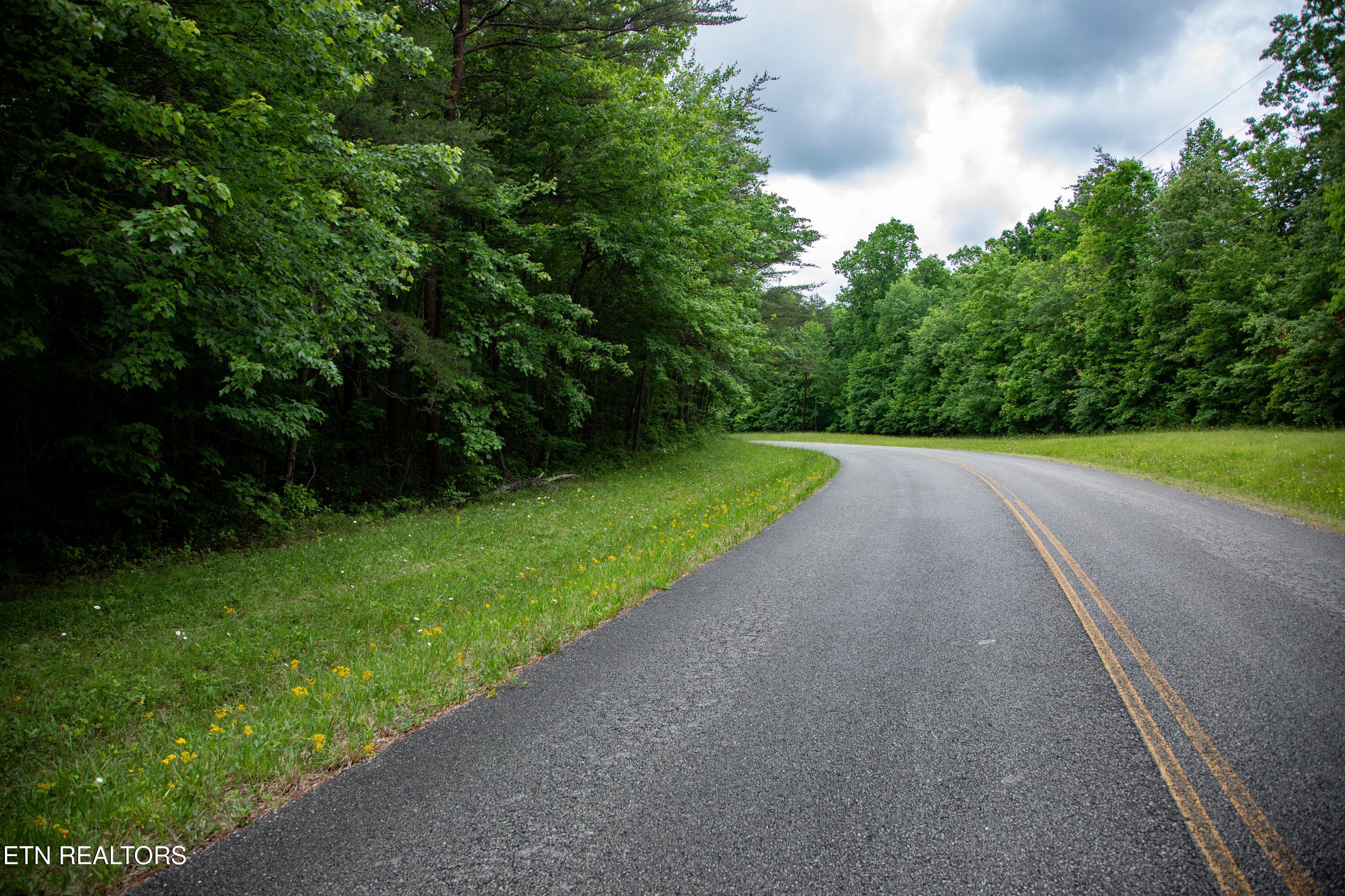 16) 72791-6a29d97564553 - 0 Lot 6 Cumberland Lakes Drive, Monterey, TN 38574, Monterey