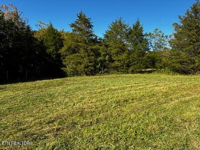image5 - 143 Newman Lane, Blaine, TN 37709, Blaine