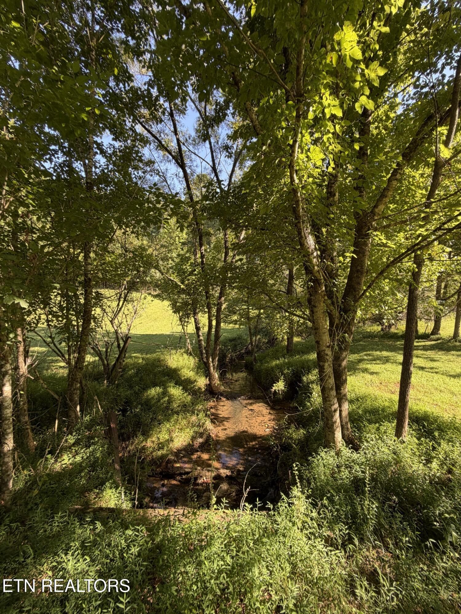 3526619-10 - Big Creek Rd 0, Madisonville, TN 37354, Madisonville