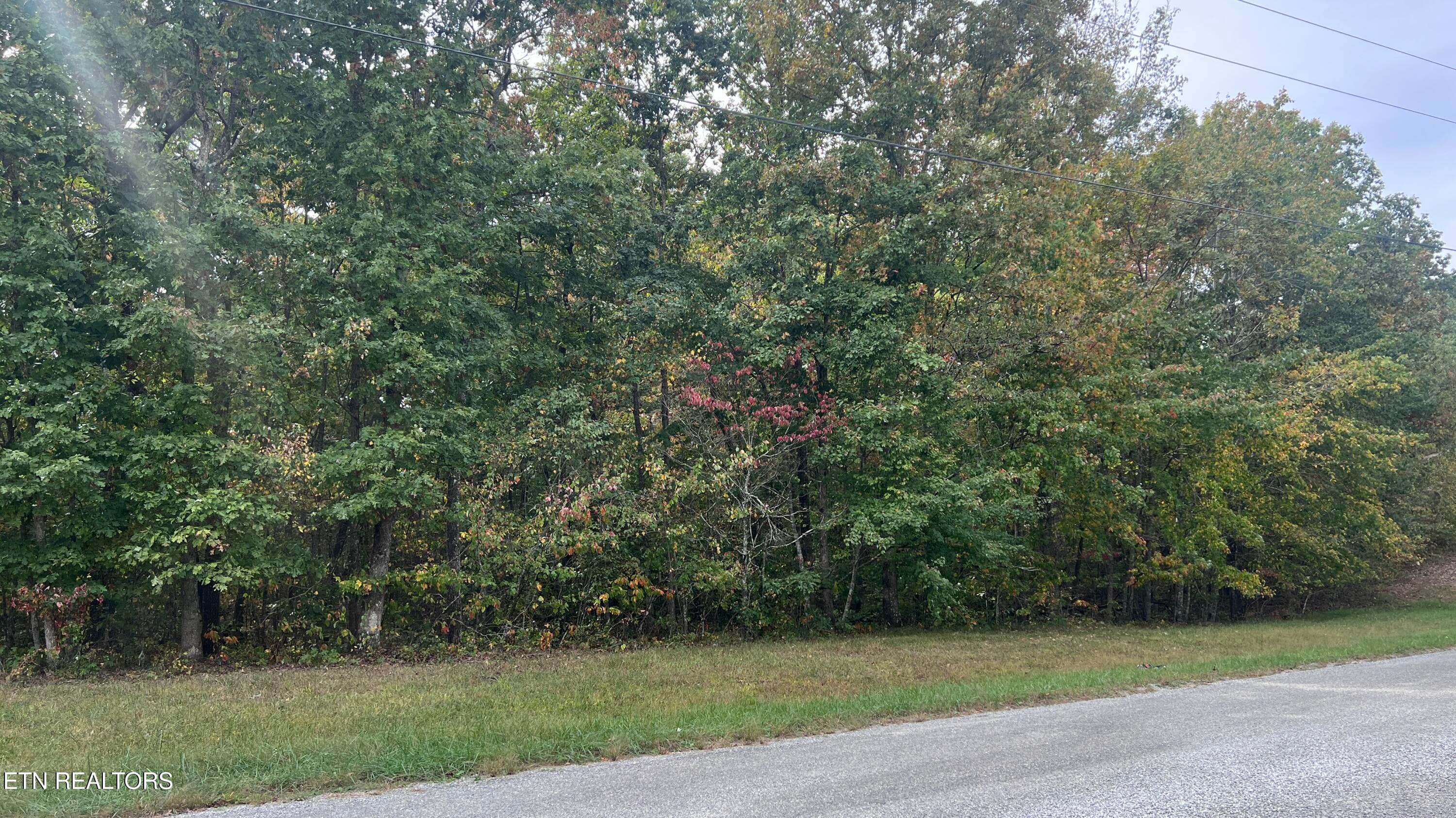 Divide Tr, Monterey, TN 38574