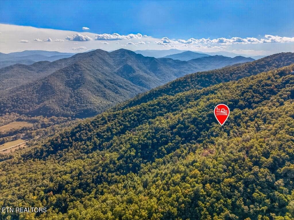 52978287-A727-4230-A7B5-42CA0BB3F055_1_1 - 5979 Hopi Tr, Del Rio, TN 37727, Del Rio