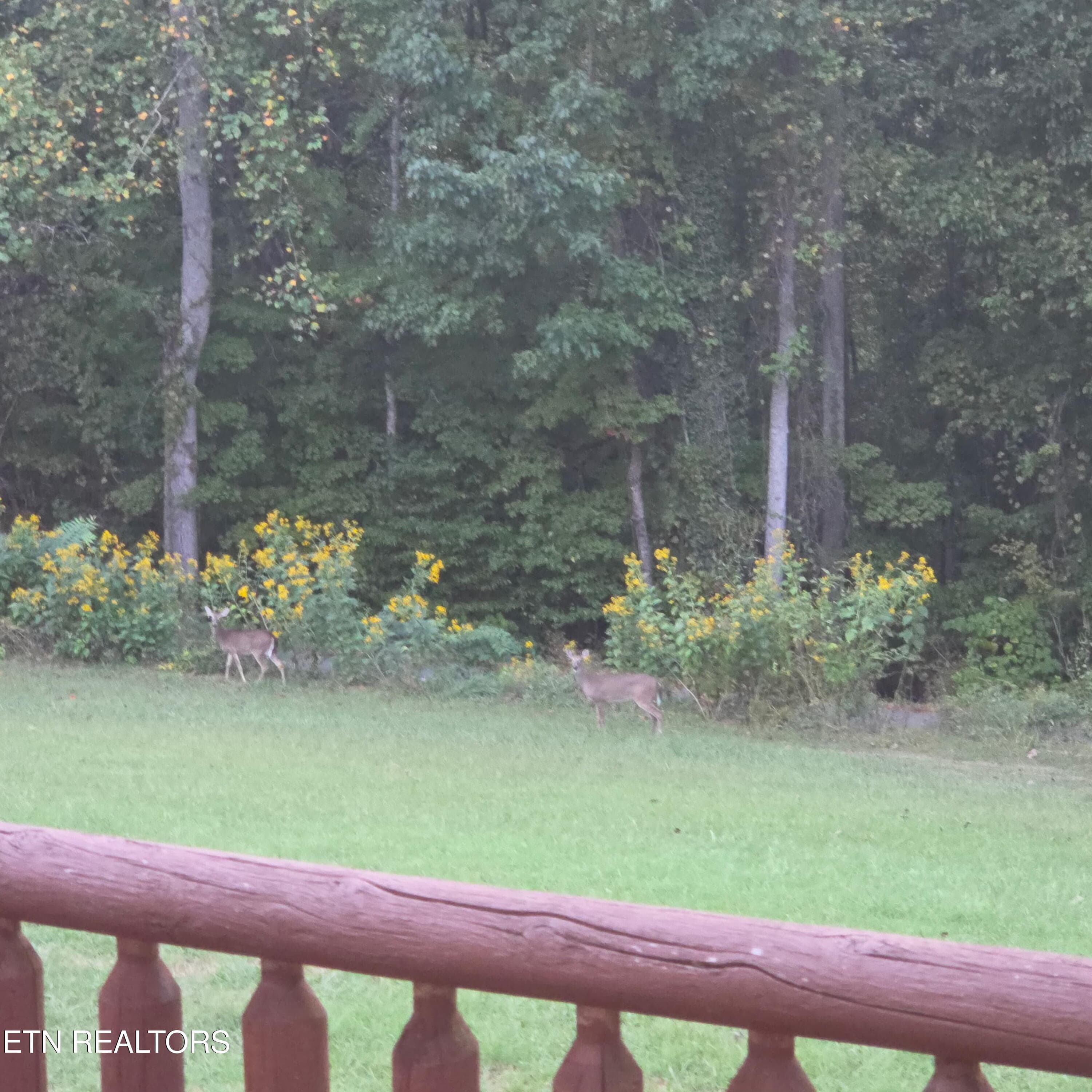 20260920_192738 - 1200 HICKORY STAR Rd, Maynardville, TN 37807