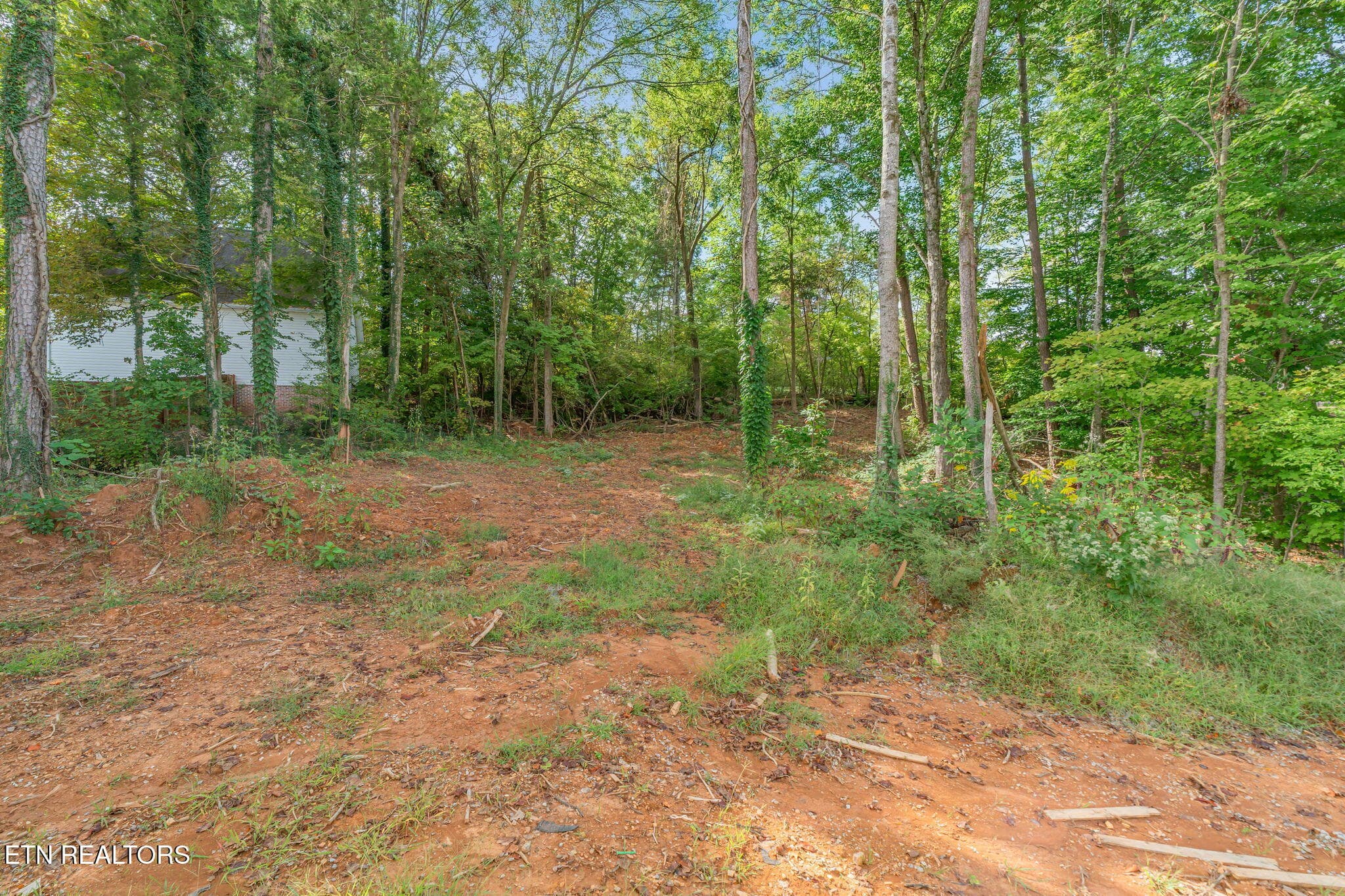 18-web-or-mls-7317 Royal Springs Blvd-19 - 7313 Royal Springs Blvd, Knoxville, TN 37918, Knoxville