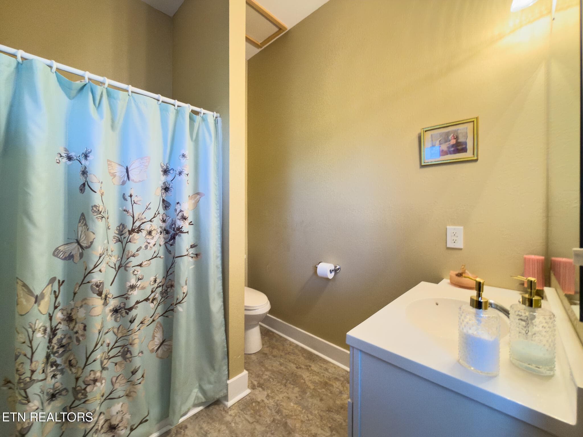 Guest Bathroom - 791 Highway 113, White Pine, TN 37890, White Pine