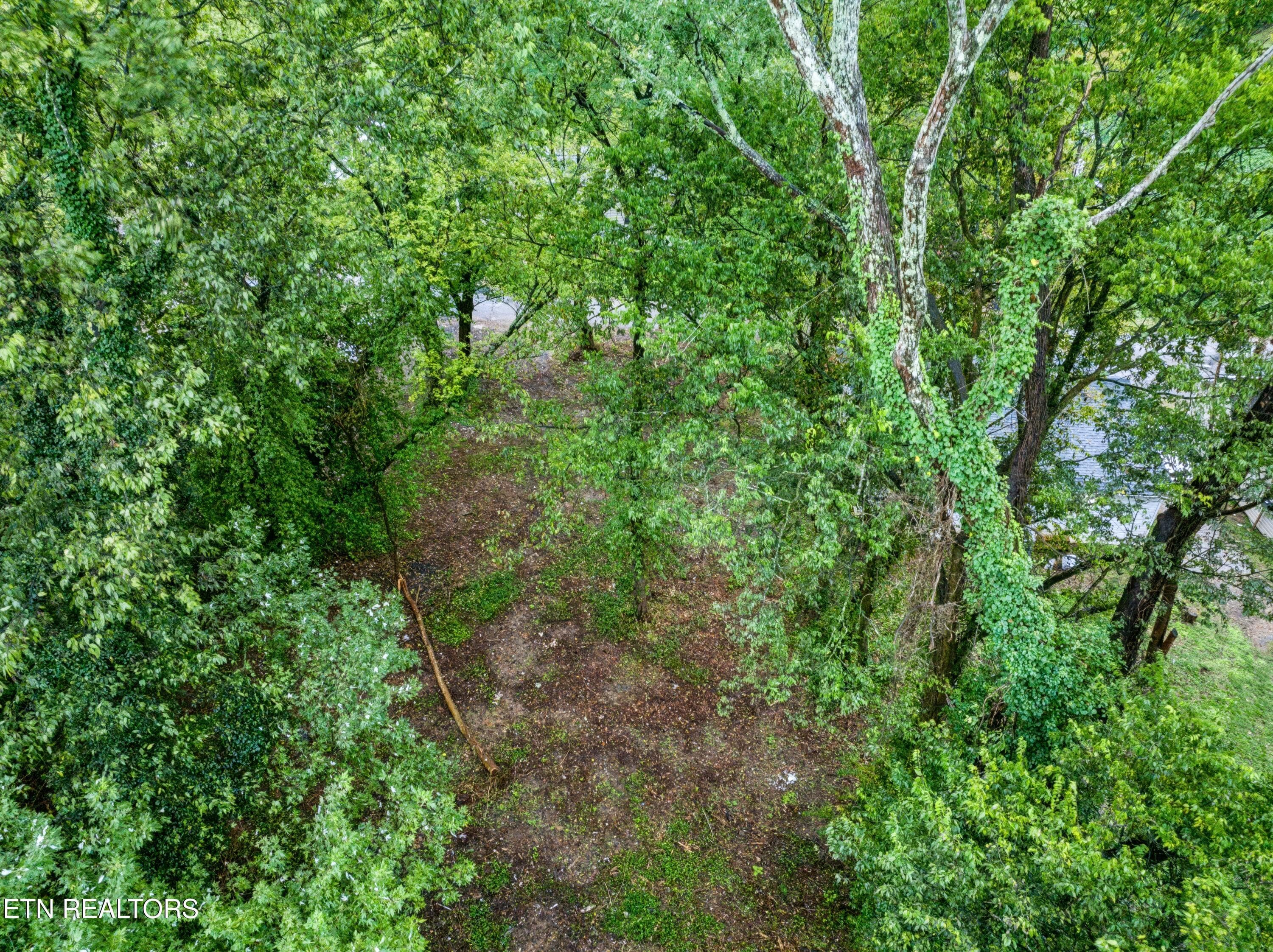 Overhead - 3109 Landview Drive, Knoxville, TN 37914, Knoxville