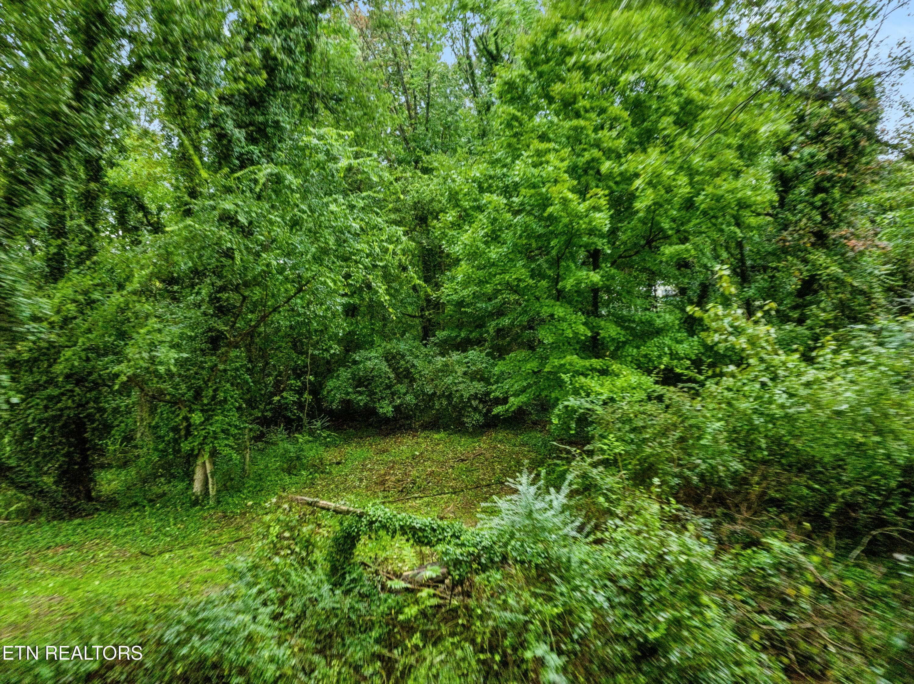 Front - 3109 Landview Drive, Knoxville, TN 37914, Knoxville