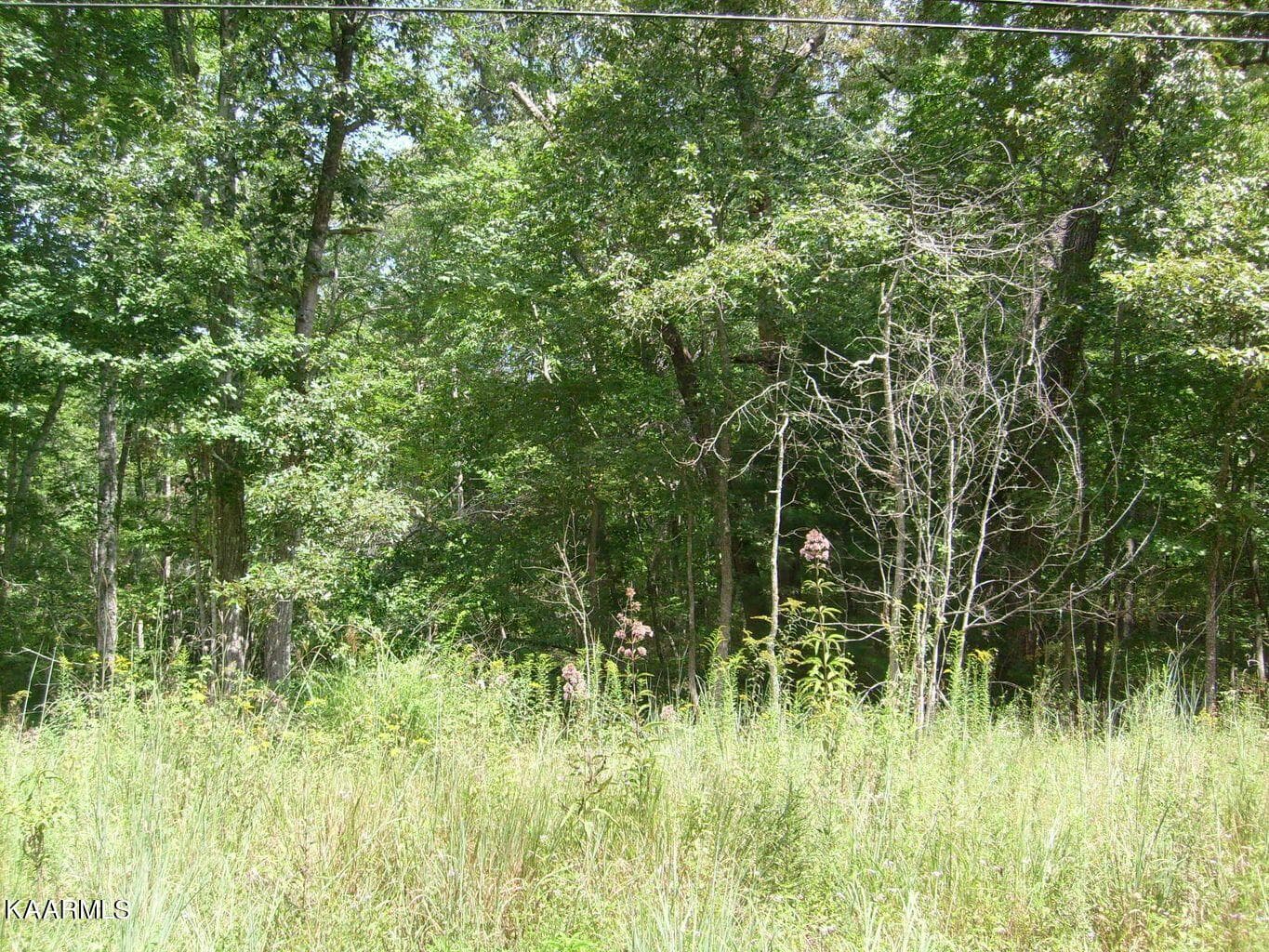6227 Osage Rd, Crossville, TN 38572