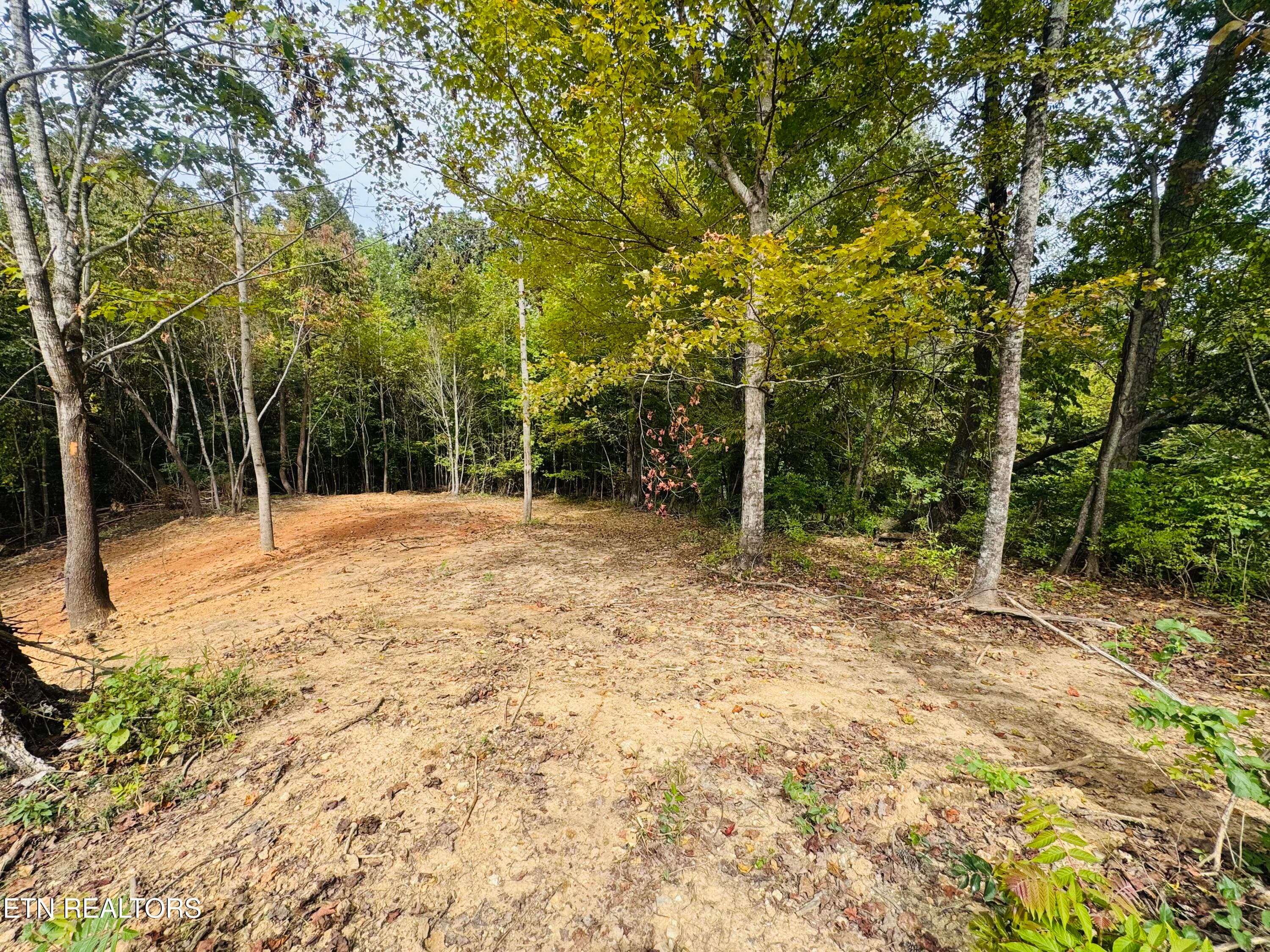 IMG_7422 - 349 Wells Rd, Powell, TN 37849, Powell