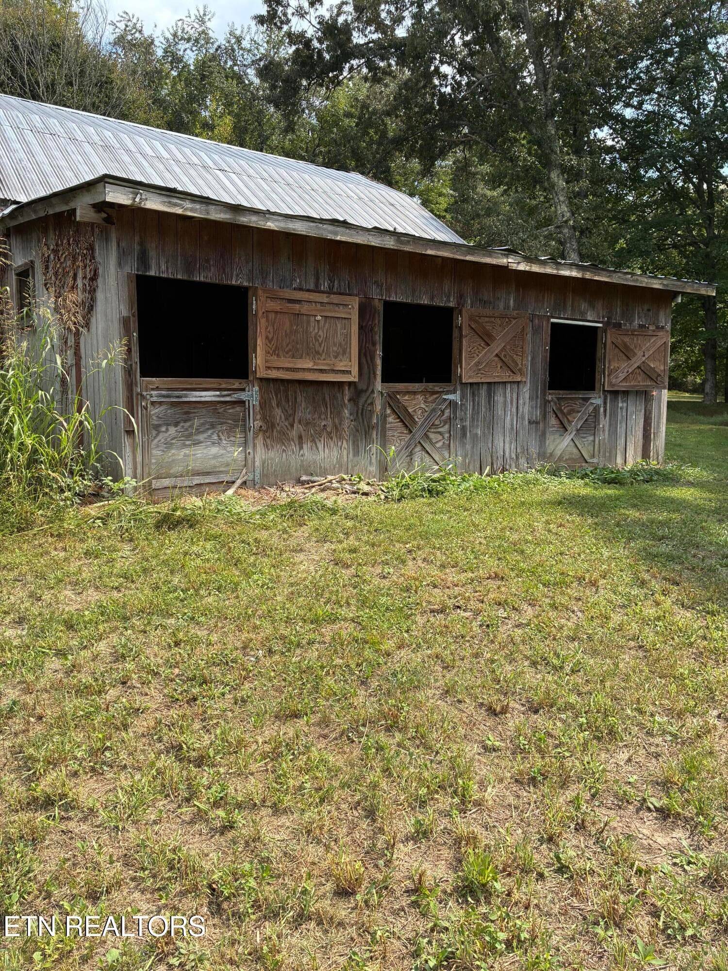 IMG_1579 - 7803 Lucky Lane, Corryton, TN 37721, Corryton