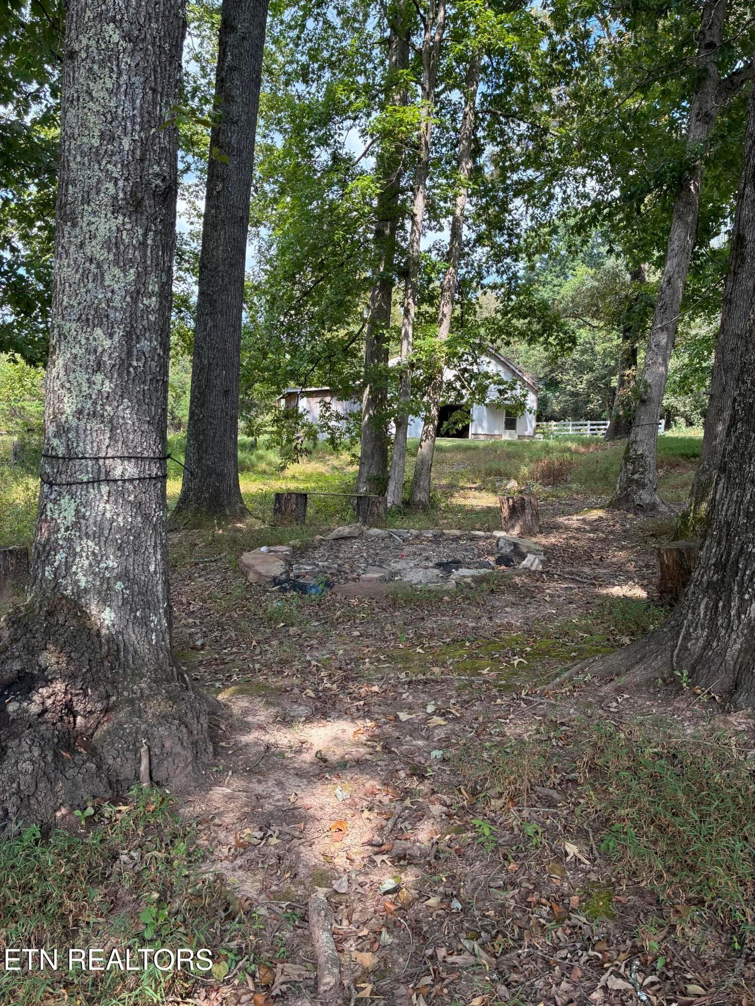 IMG_1572 - 7803 Lucky Lane, Corryton, TN 37721, Corryton