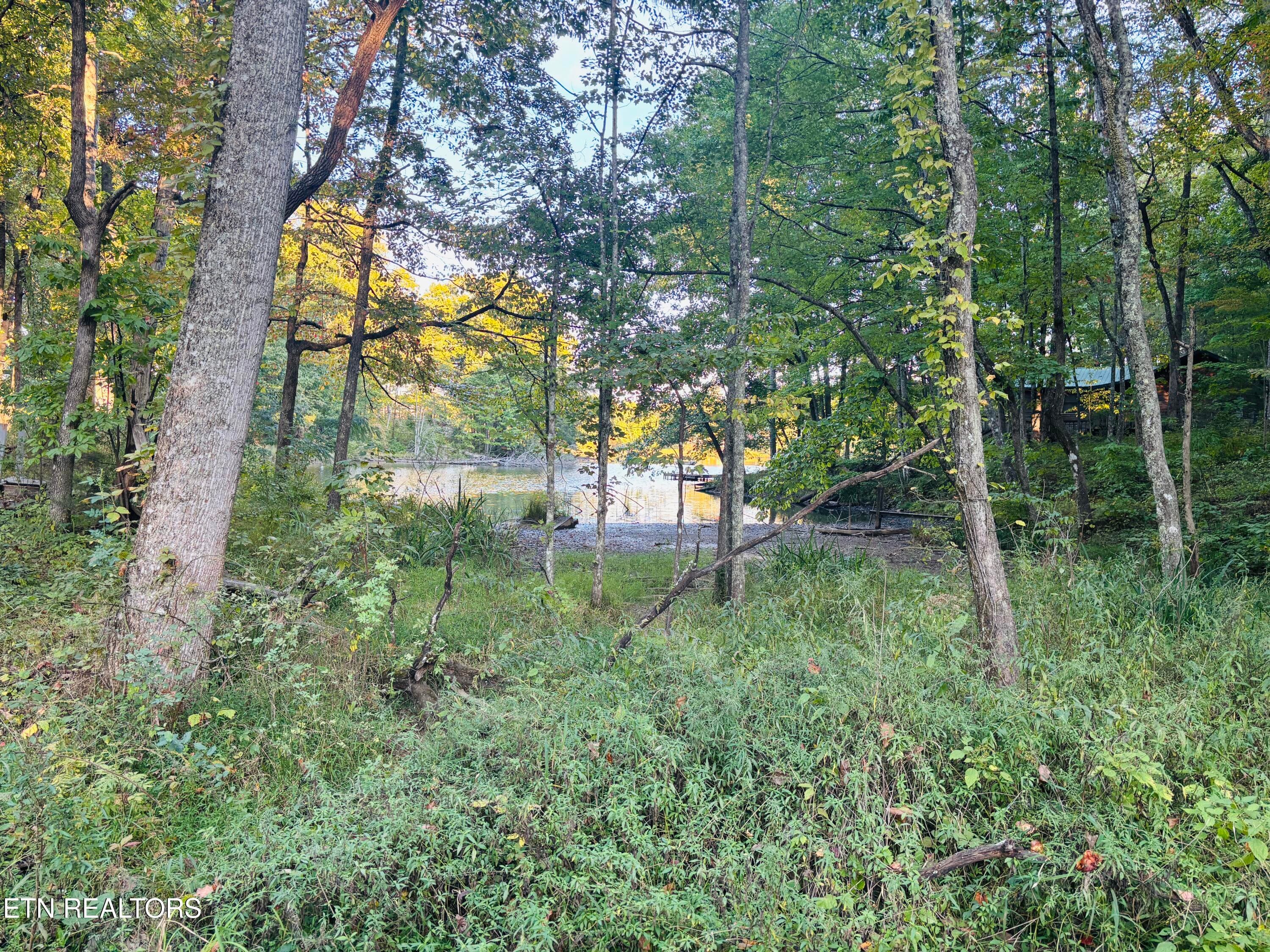 IMG_2366 - 41 Diane Circle, Crossville, TN 38572, Crossville