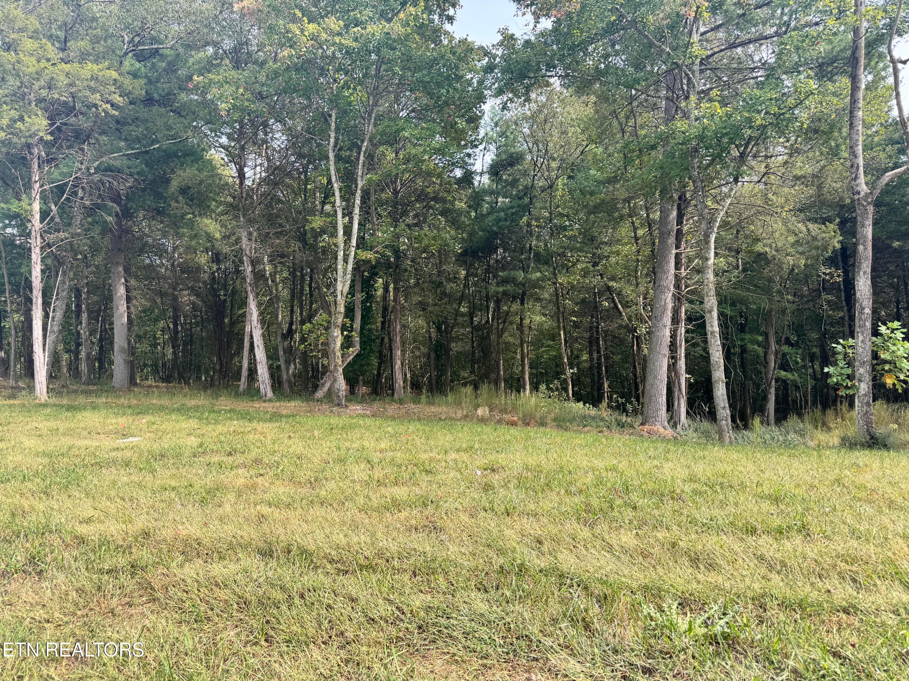 Level at front and slope to rear - 160 Flip Flop Way, Loudon, TN 37774