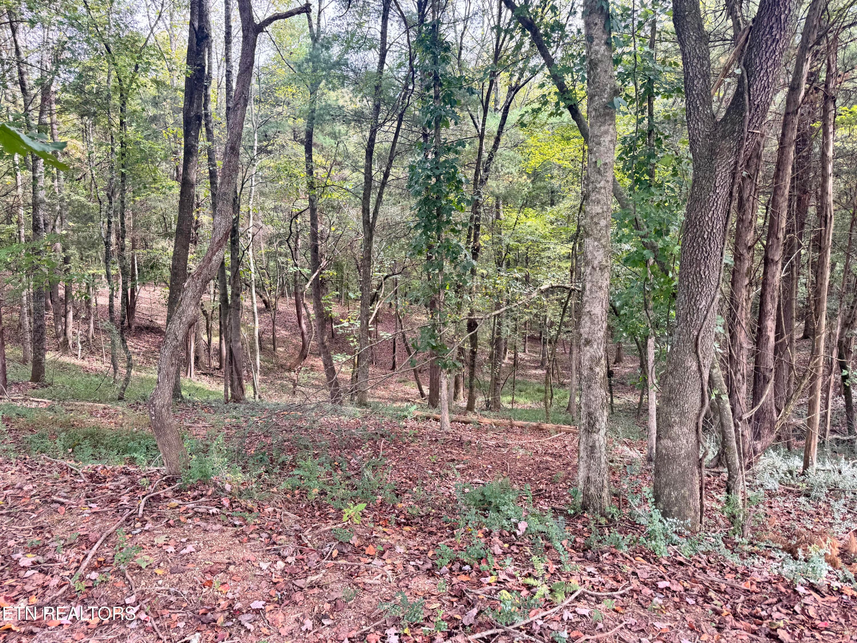 Rear of lot - 160 Flip Flop Way, Loudon, TN 37774