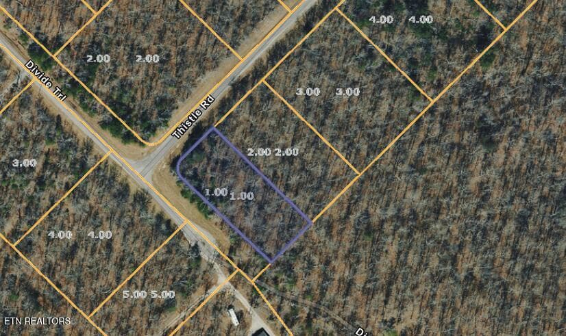 1 Thistle Rd, Monterey, TN 38574