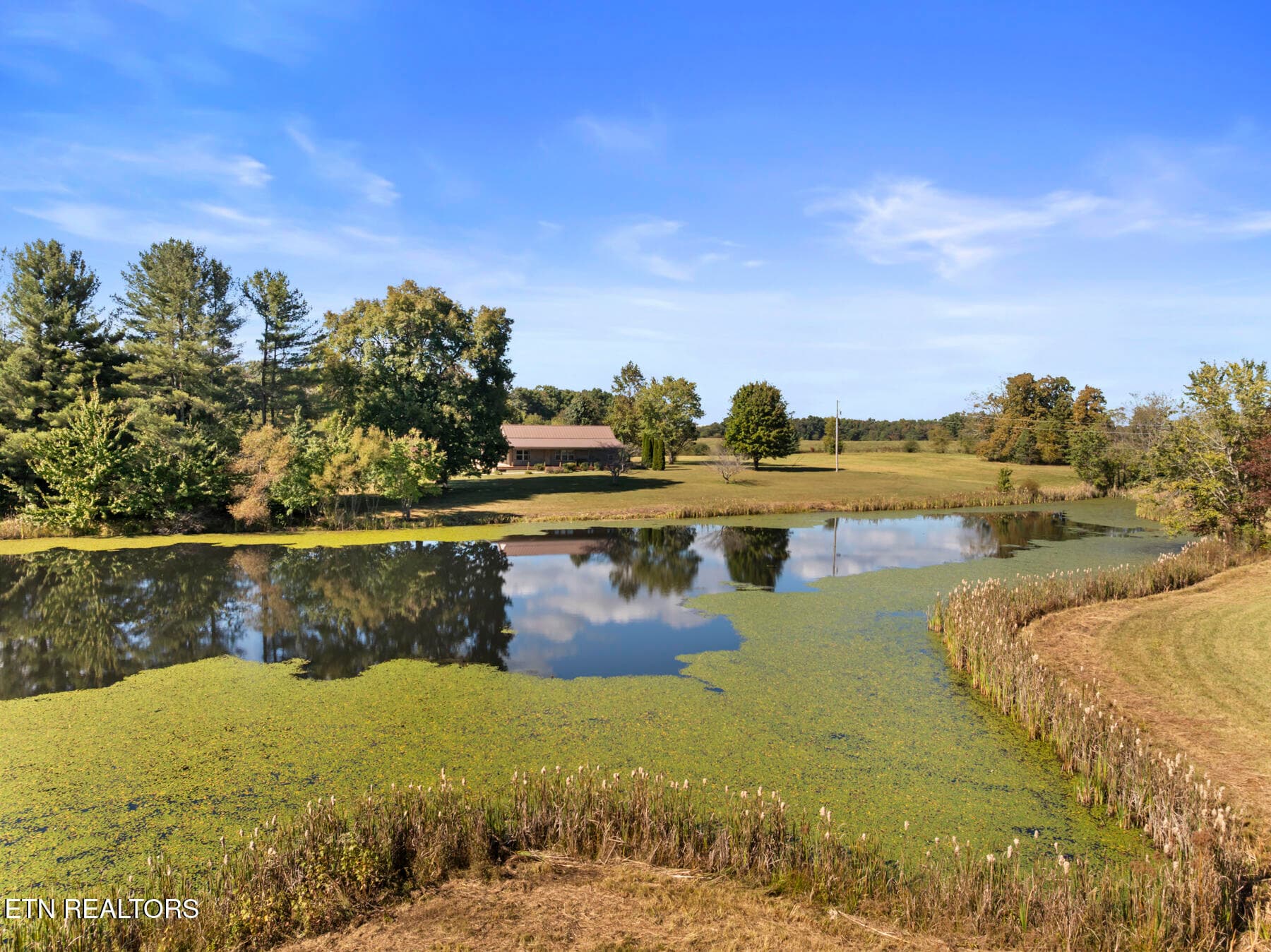 DJI_20261006144448_0824_D - 791 Hunters Lane, Crossville, TN 38571, Crossville